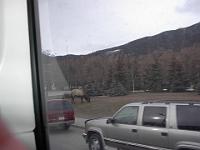 Canada 130  Lake Louise